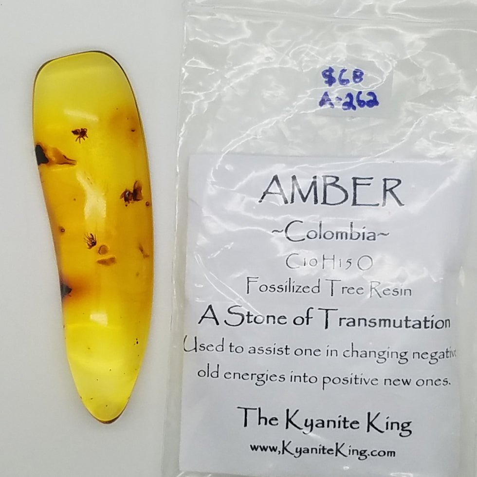 amber specimen 262