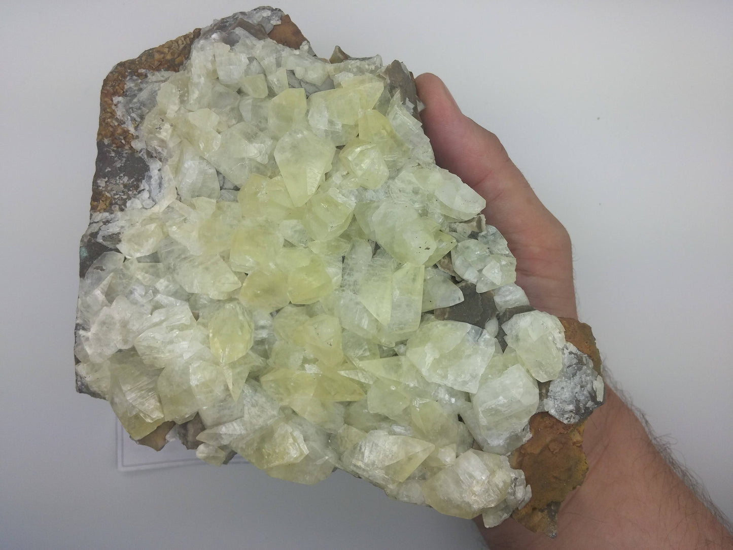 Huge Dogtooth Calcite Specimen | Vintage origin