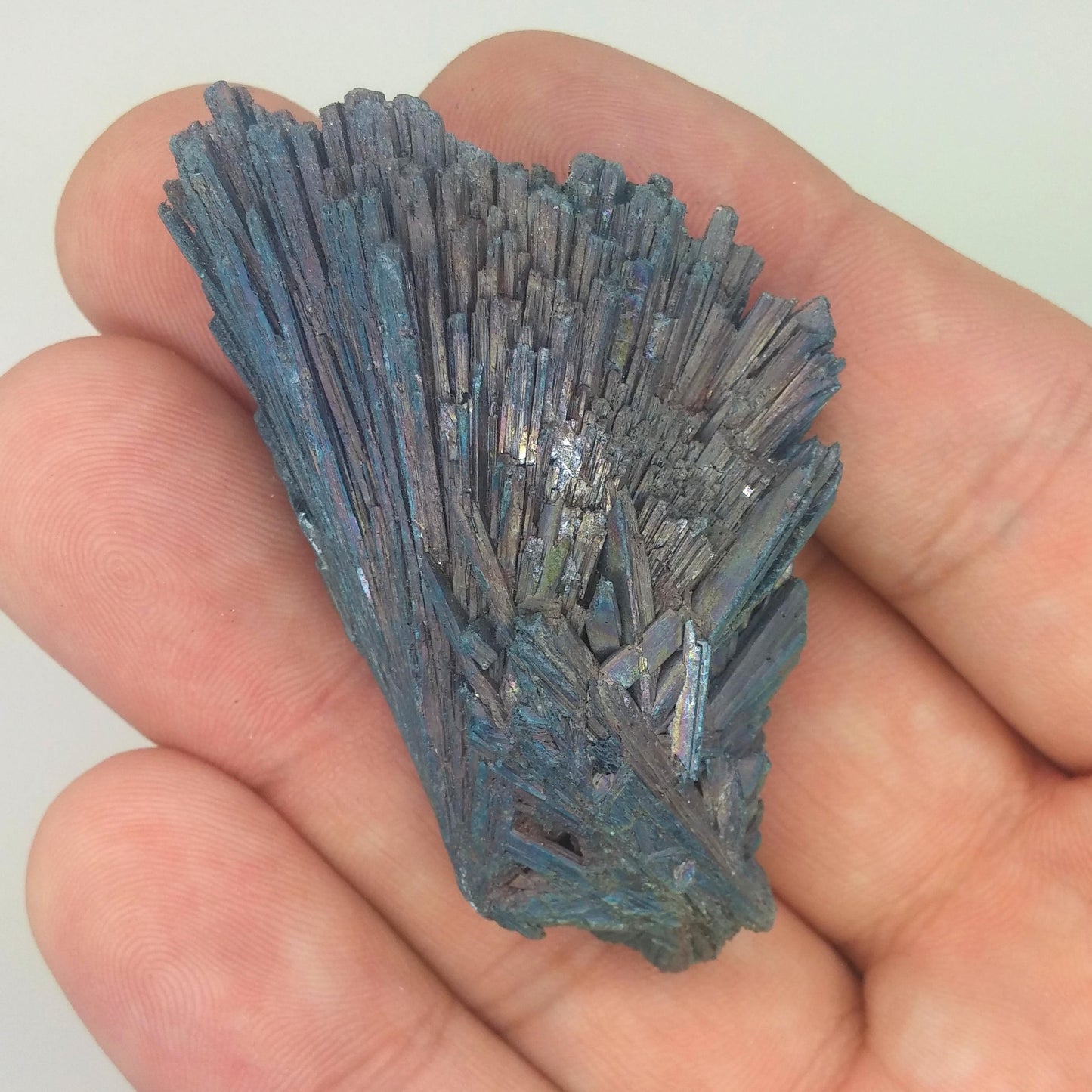 Black Kyanite Aura Specimen | Metaphysical | Opalized | Wire Wrapping | 1H