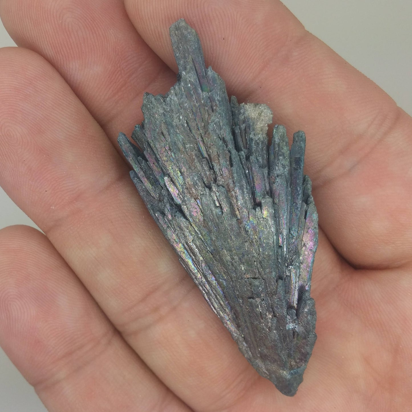 Black Kyanite Aura Specimen | Metaphysical | Opalized | Wire Wrapping | 1K