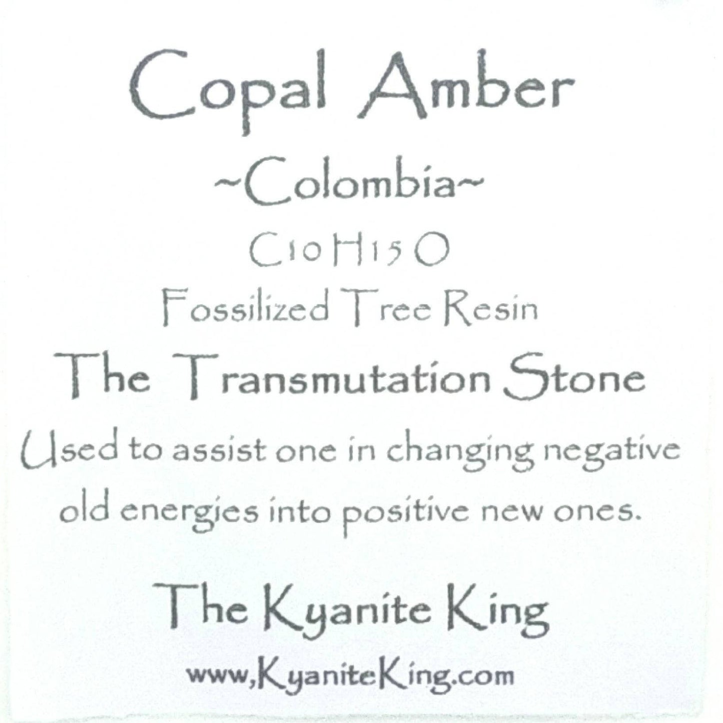 AMBER | Colombia | Polished A-18 | Fossil | Metaphysical |Bugs and Inclusions