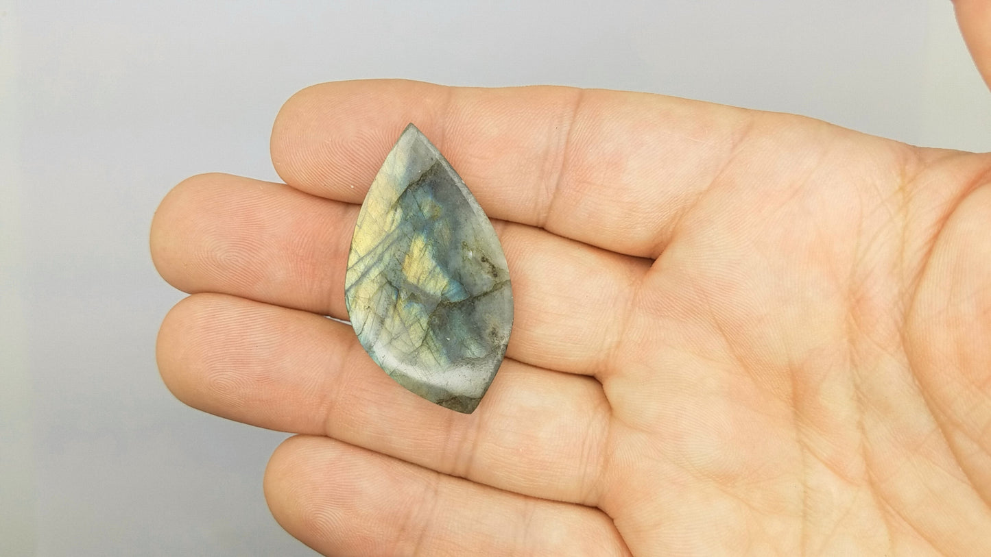 Parrot Wing LABRADORITE Cabochon | LARGE FREEFORM #lab4