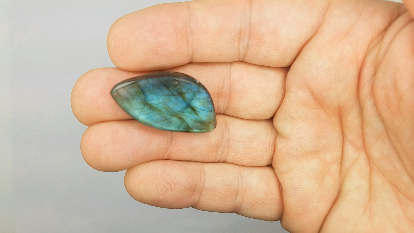 Parrot Wing LABRADORITE Cabochon | LARGE FREEFORM #lab3