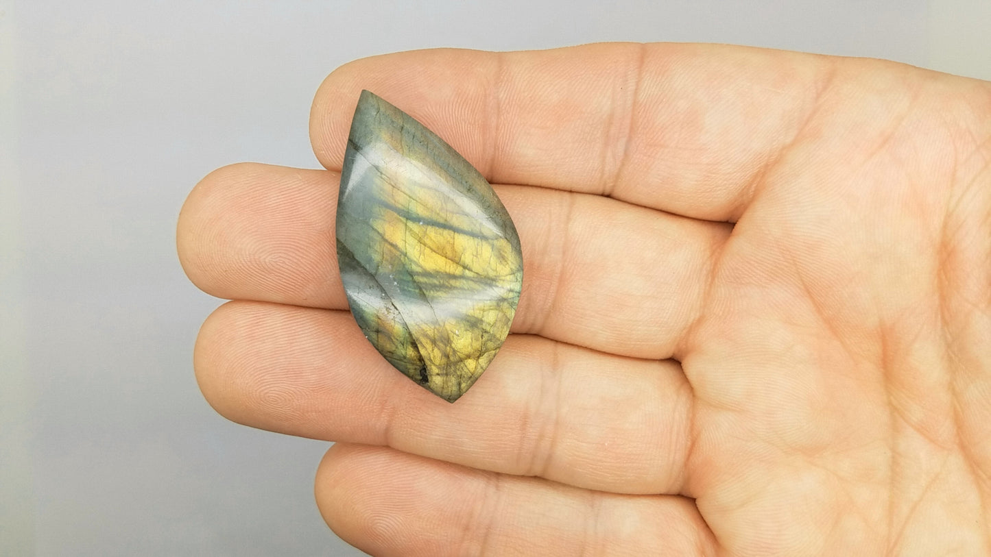 Parrot Wing LABRADORITE Cabochon | LARGE FREEFORM #lab4