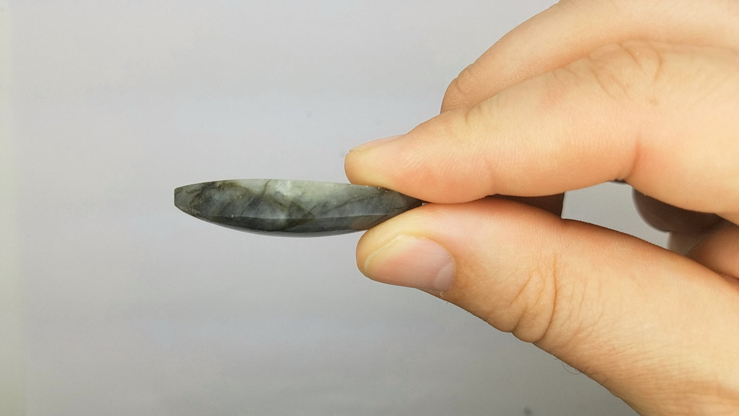 Parrot Wing LABRADORITE Cabochon | LARGE FREEFORM #lab4