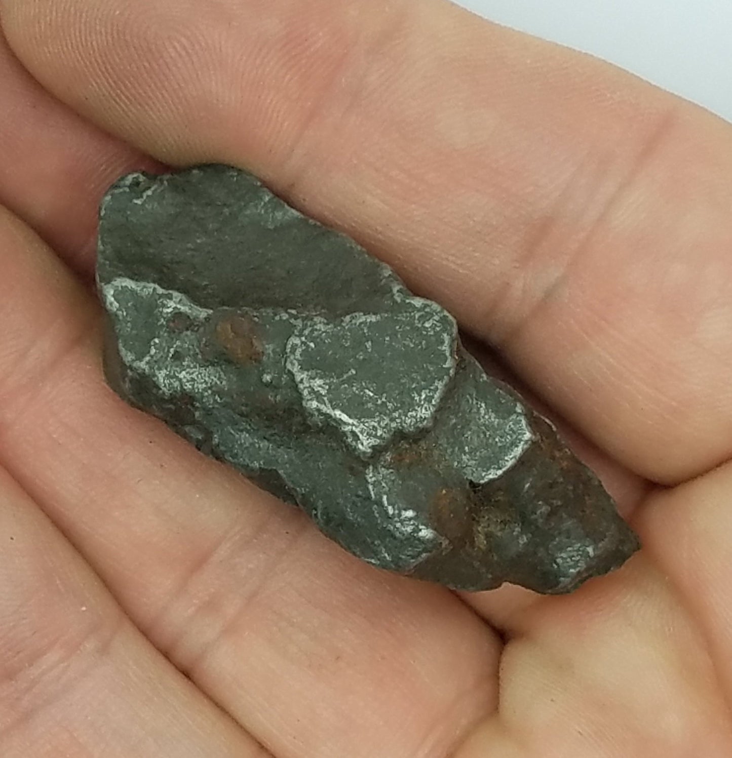 Cosmic SIKHOTE Meteorite Specimen | Sikhote-Alin | #SH6381