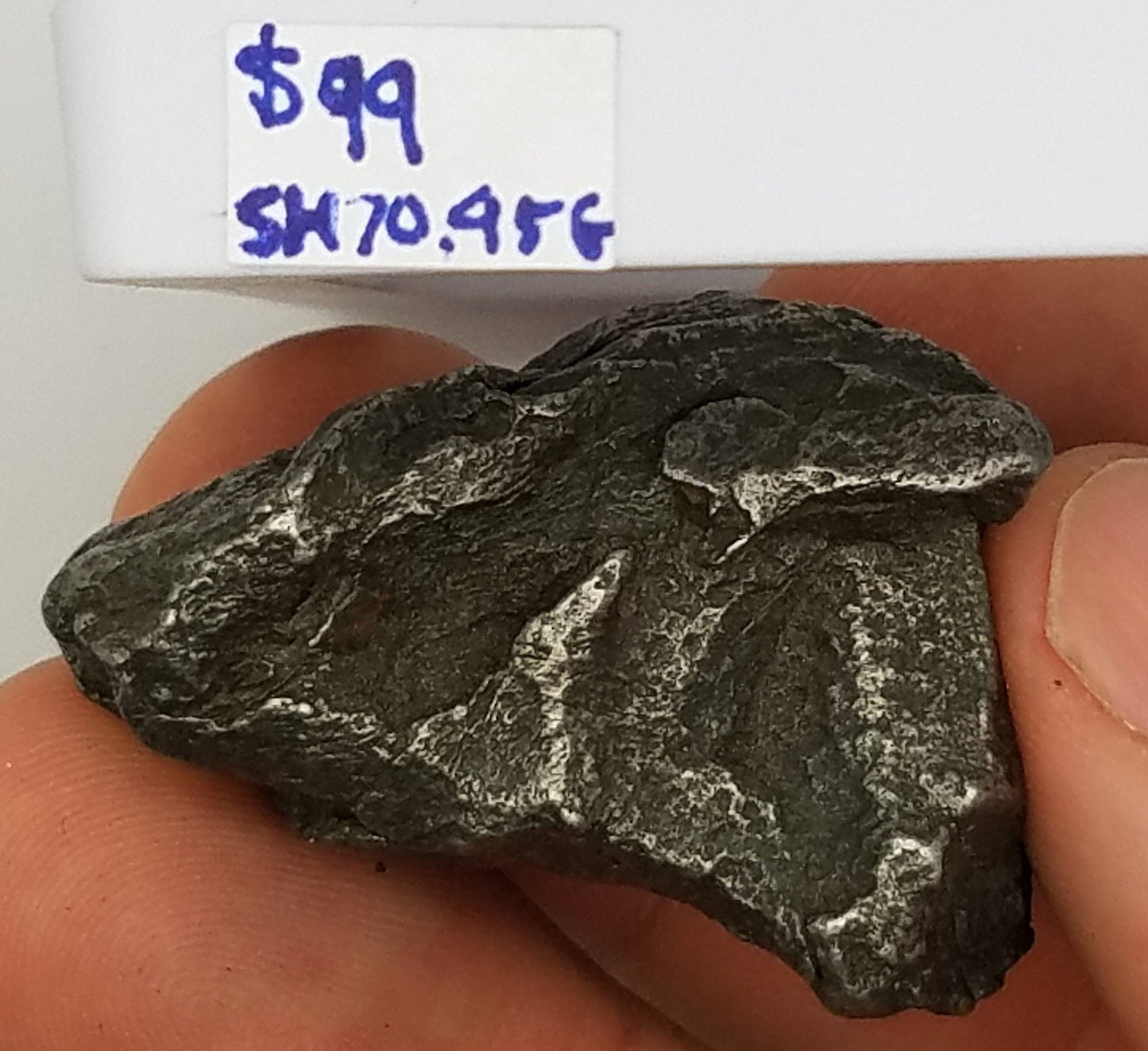 Protective SIKHOTE Meteorite Specimen | Sikhote-Alin | #SH7095