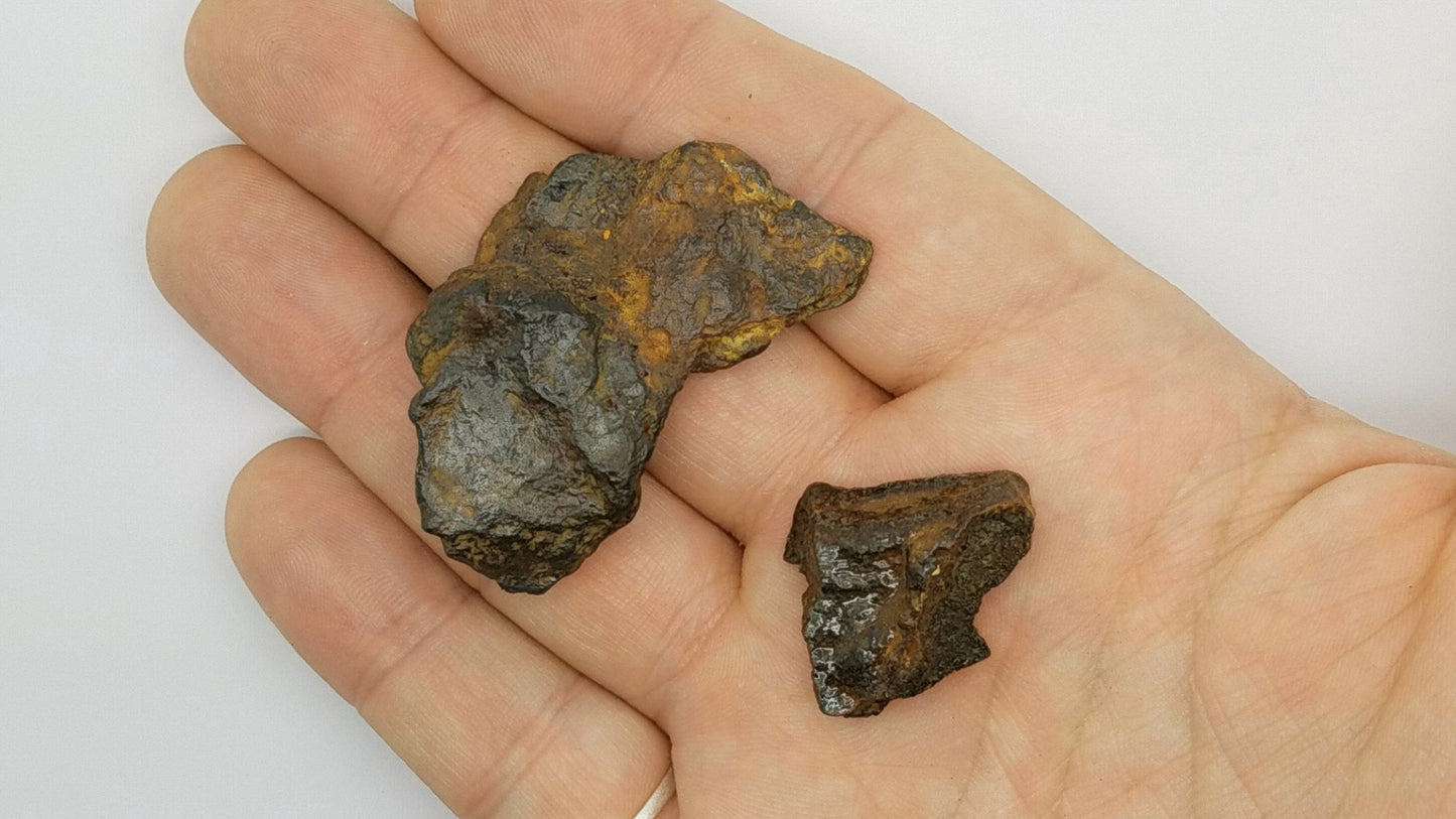 Meteorite Specimens 2 Piece Campo del Cielo | 36.4GR