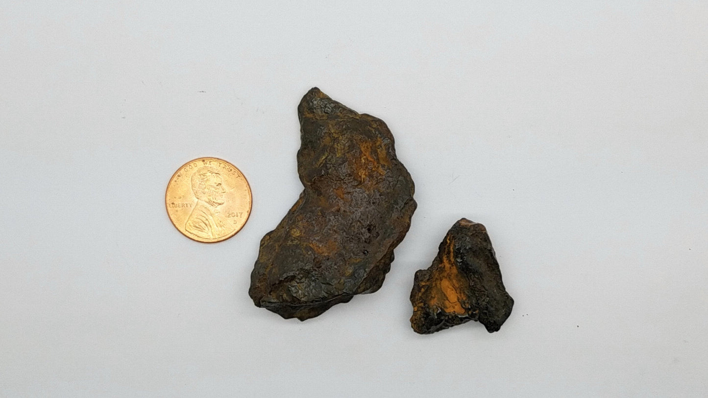 Meteorite Specimens 2 Piece Campo del Cielo | 36.4GR