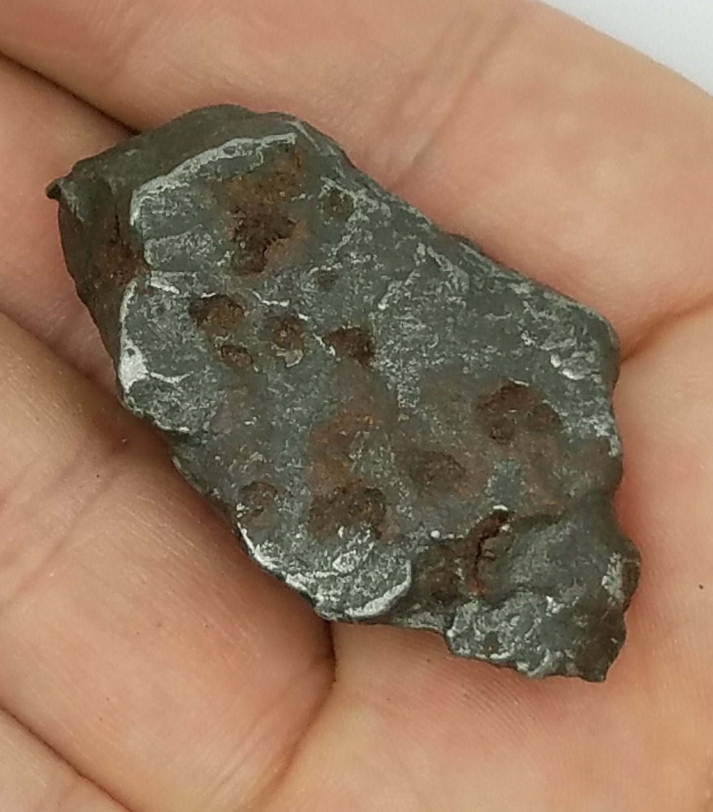Cosmic SIKHOTE Meteorite Specimen | Sikhote-Alin | #SH6381