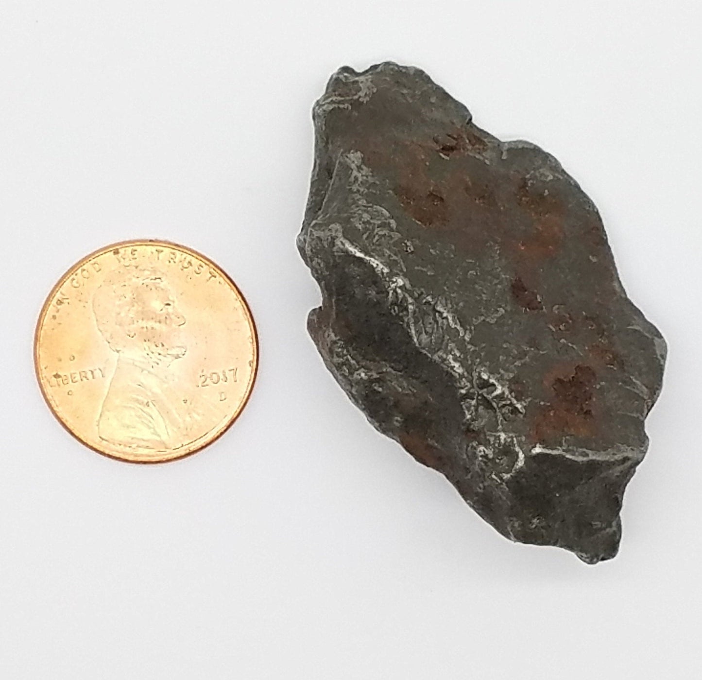 Cosmic SIKHOTE Meteorite Specimen | Sikhote-Alin | #SH6381