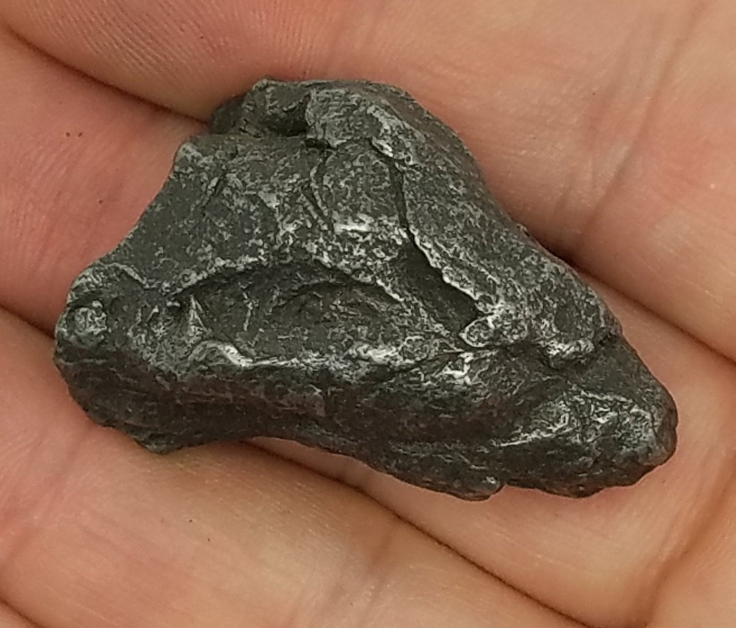 Protective SIKHOTE Meteorite Specimen | Sikhote-Alin | #SH7095