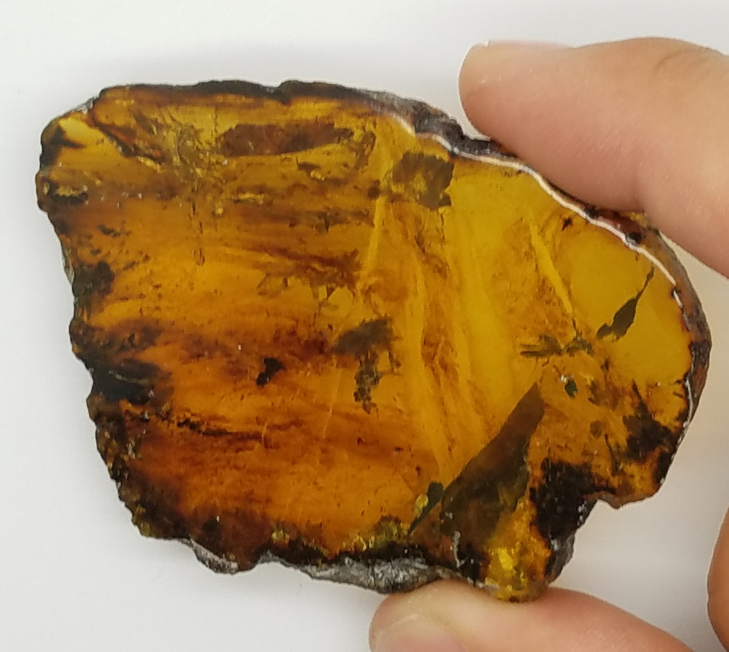 Superb AMBER Window Slice | Polished on 2 sides
