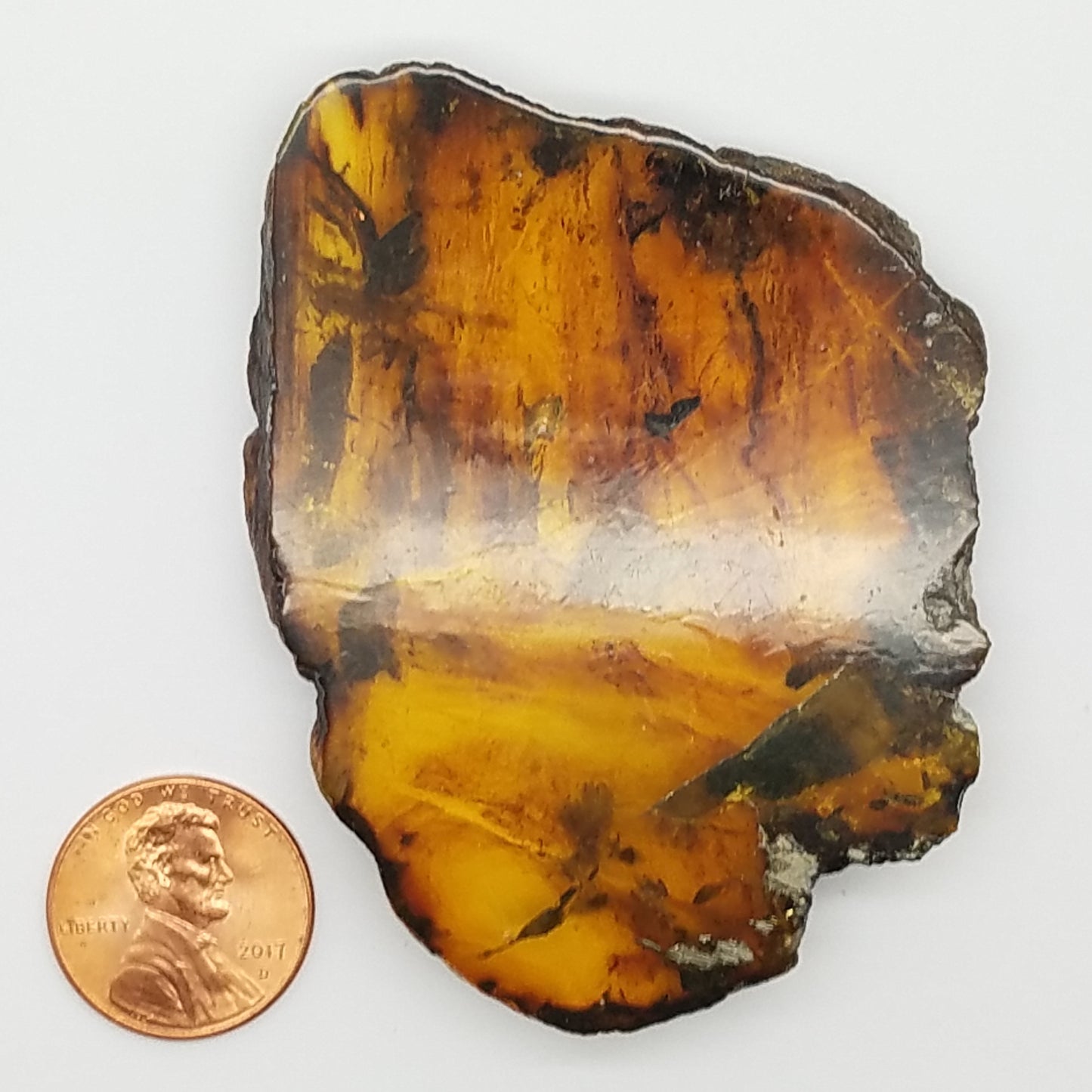 Superb AMBER Window Slice | Polished on 2 sides
