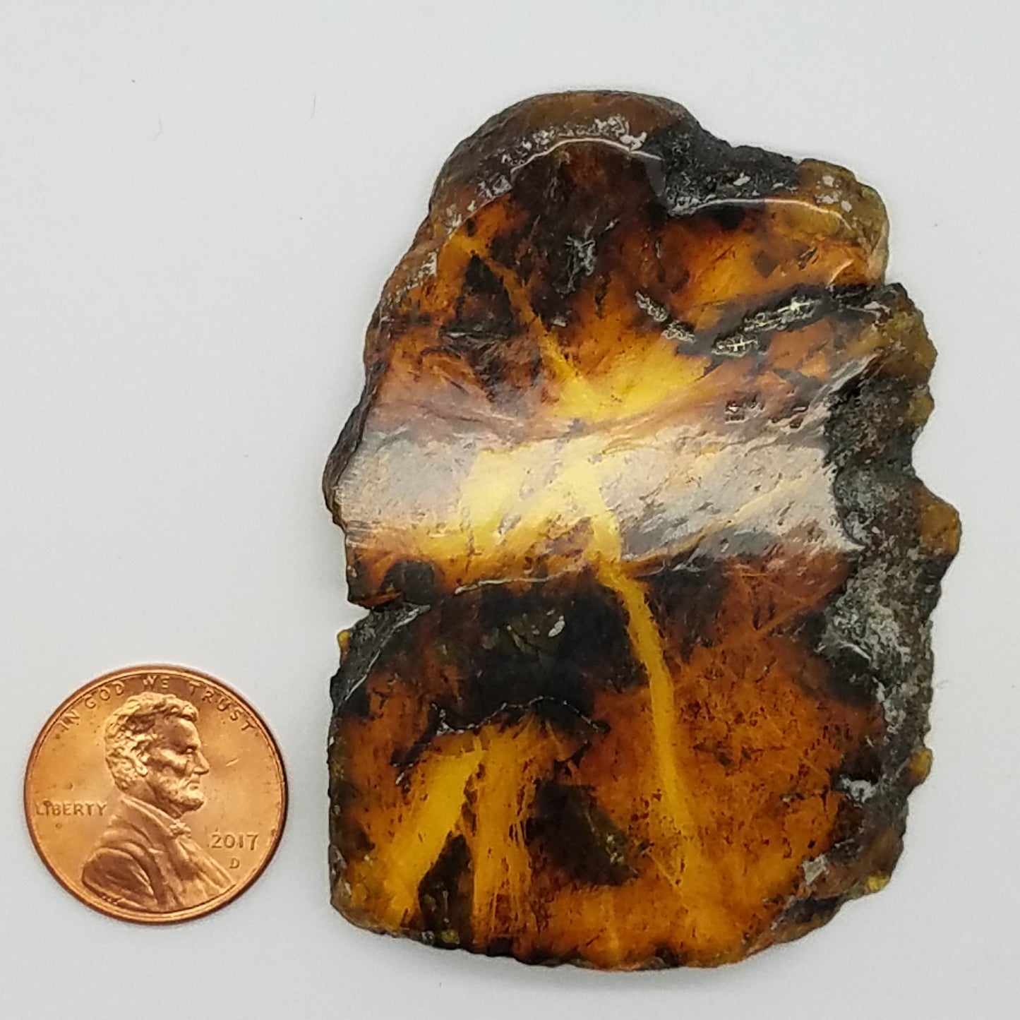 Amazing! AMBER Window | Polished on 2 sides
