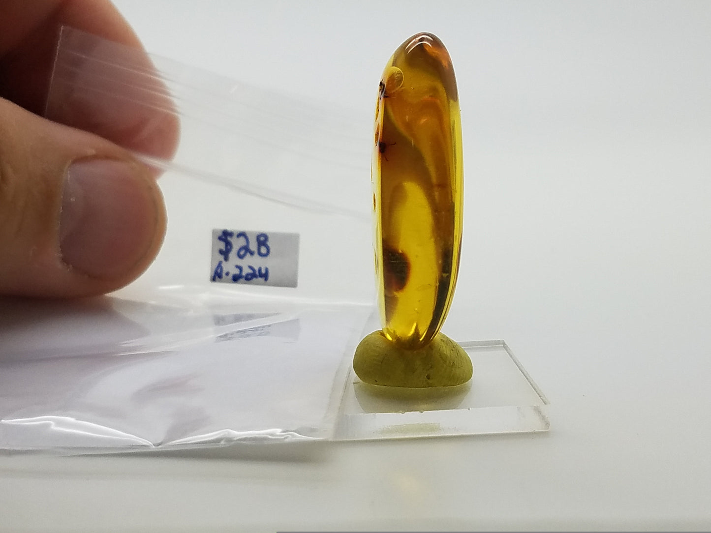 Superb AMBER with 3 Insect Inclusions | Colombia