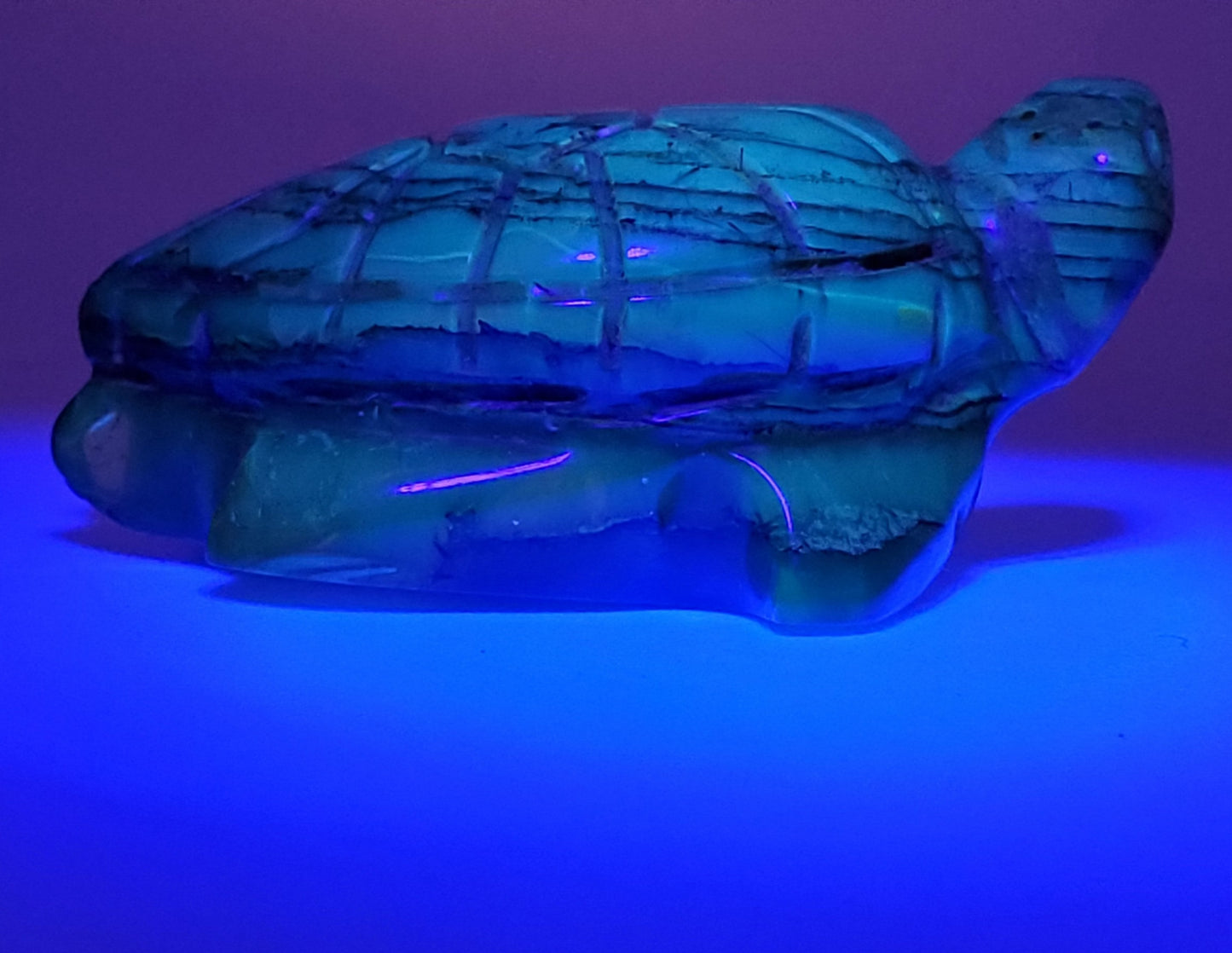 TURTLE Talisman | AMBER Carving | UV Reactive