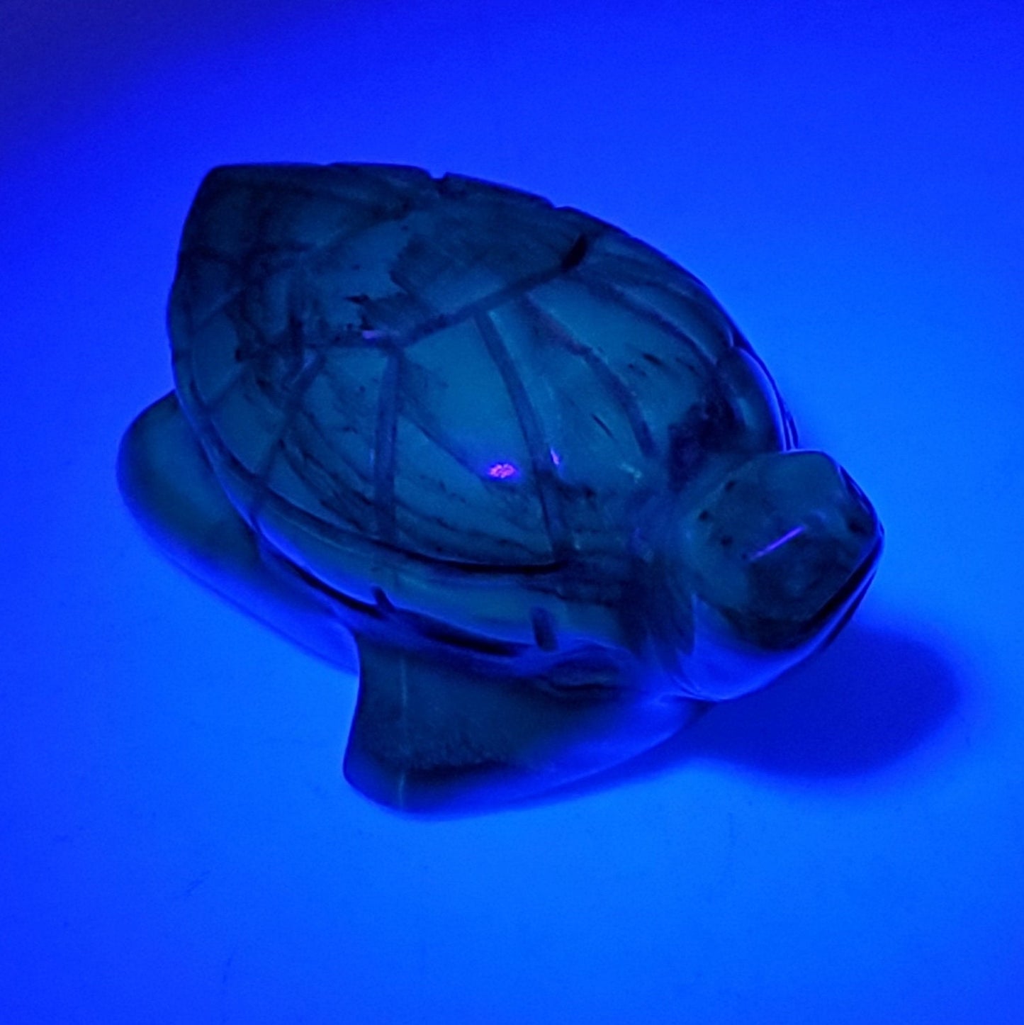 TURTLE Talisman | AMBER Carving | UV Reactive