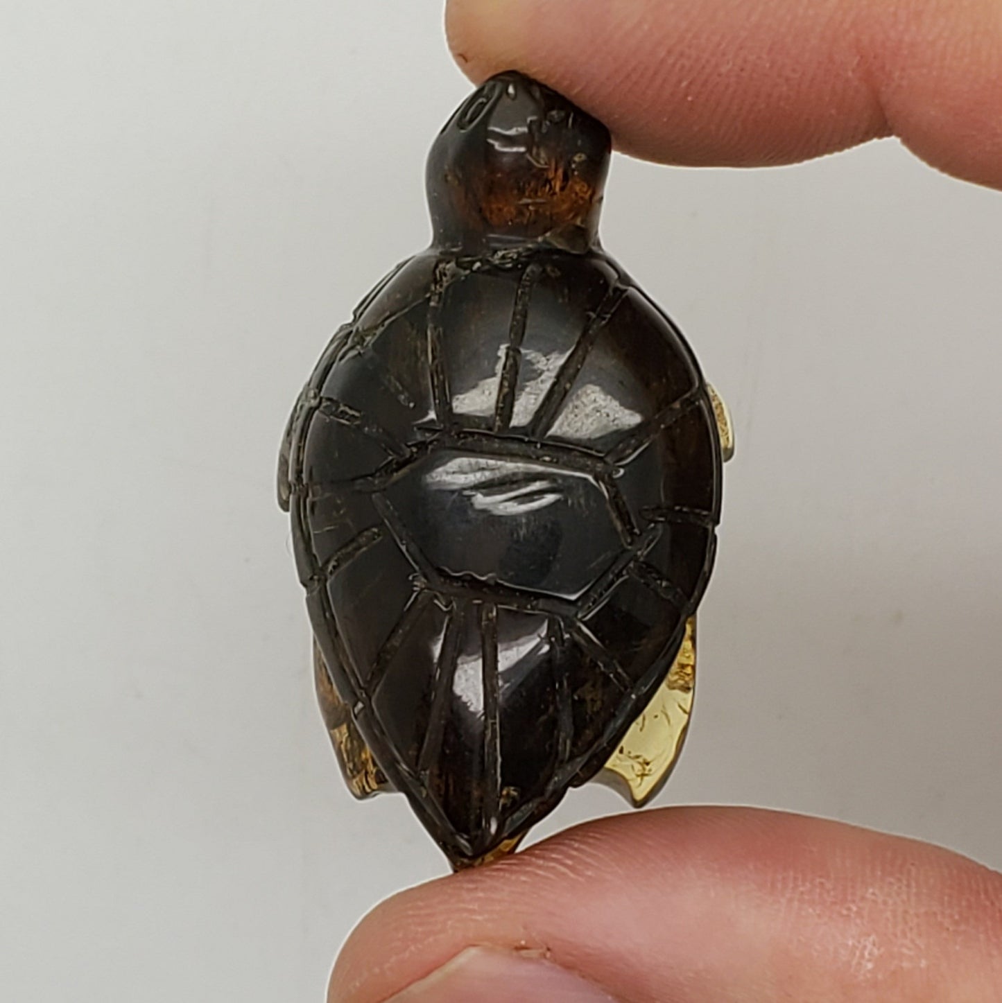 TURTLE Talisman | AMBER Carving | UV Reactive