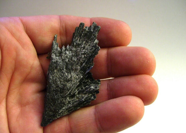 Black Kyanite Specimens 1 Pound