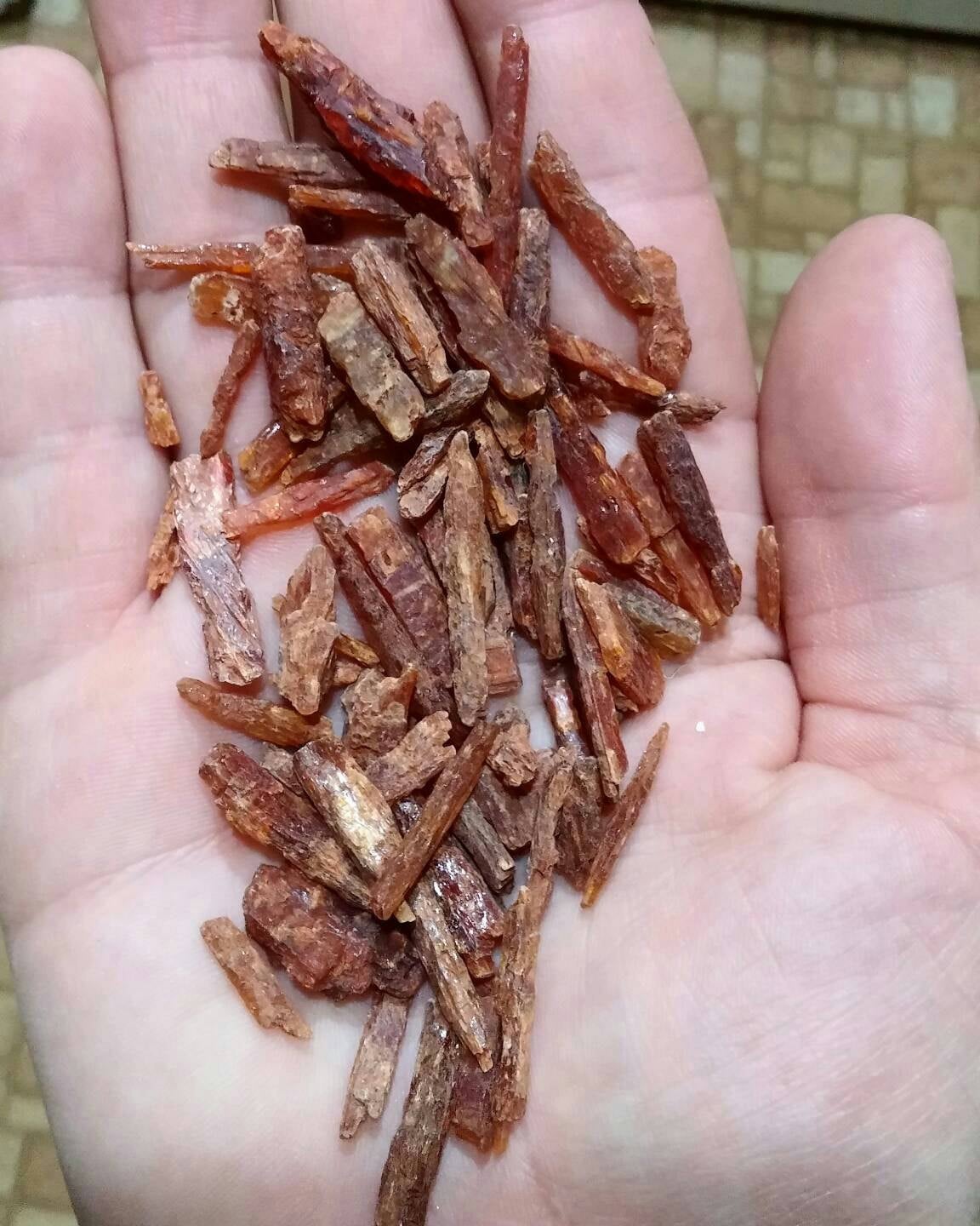 ORANGE KYANITE 1/4LB  | Natural Rough Specimens | Wholesale