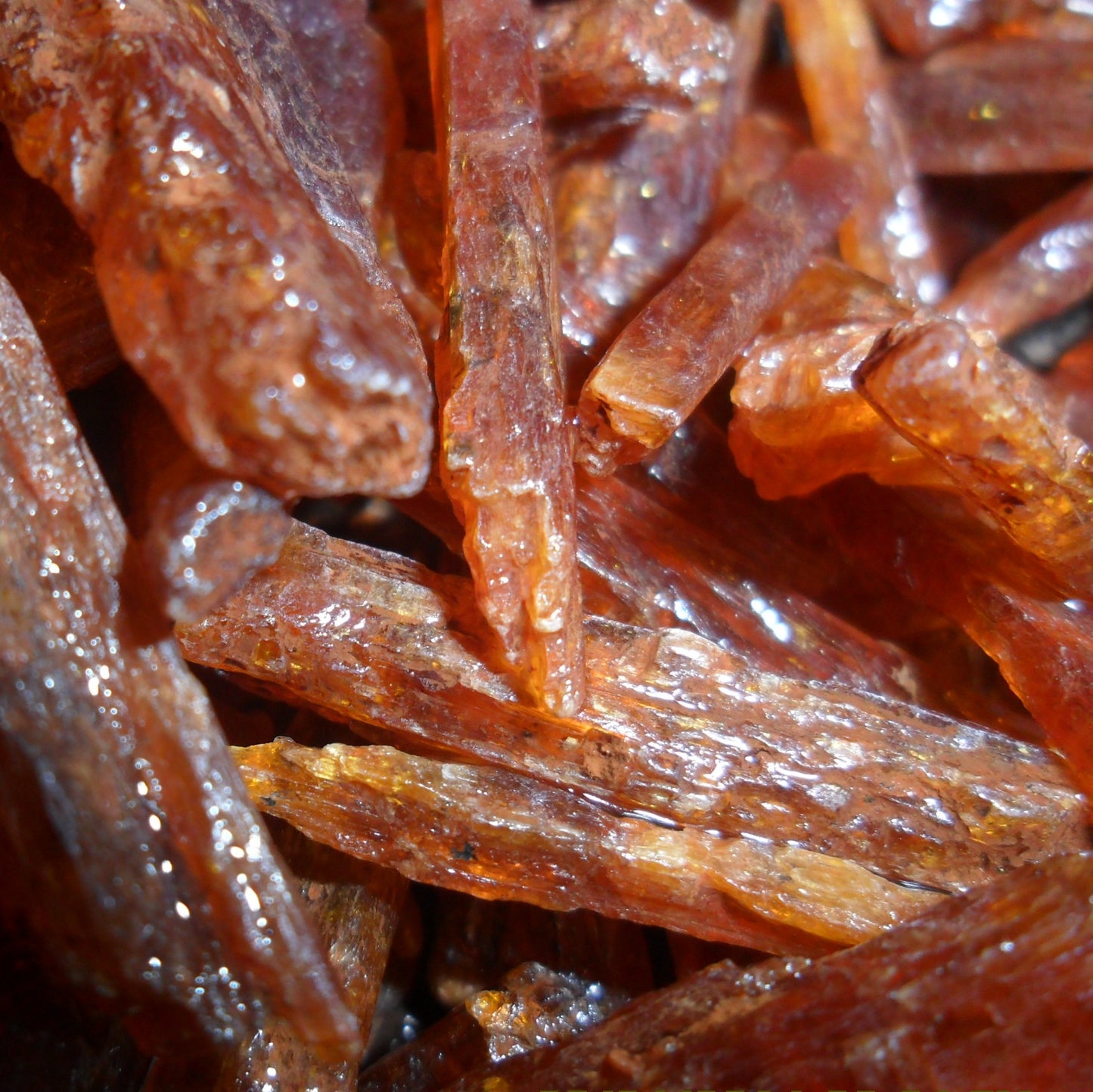 Orange Kyanite | Stick and Blade | 20gr Sample - The Meteorite Traders