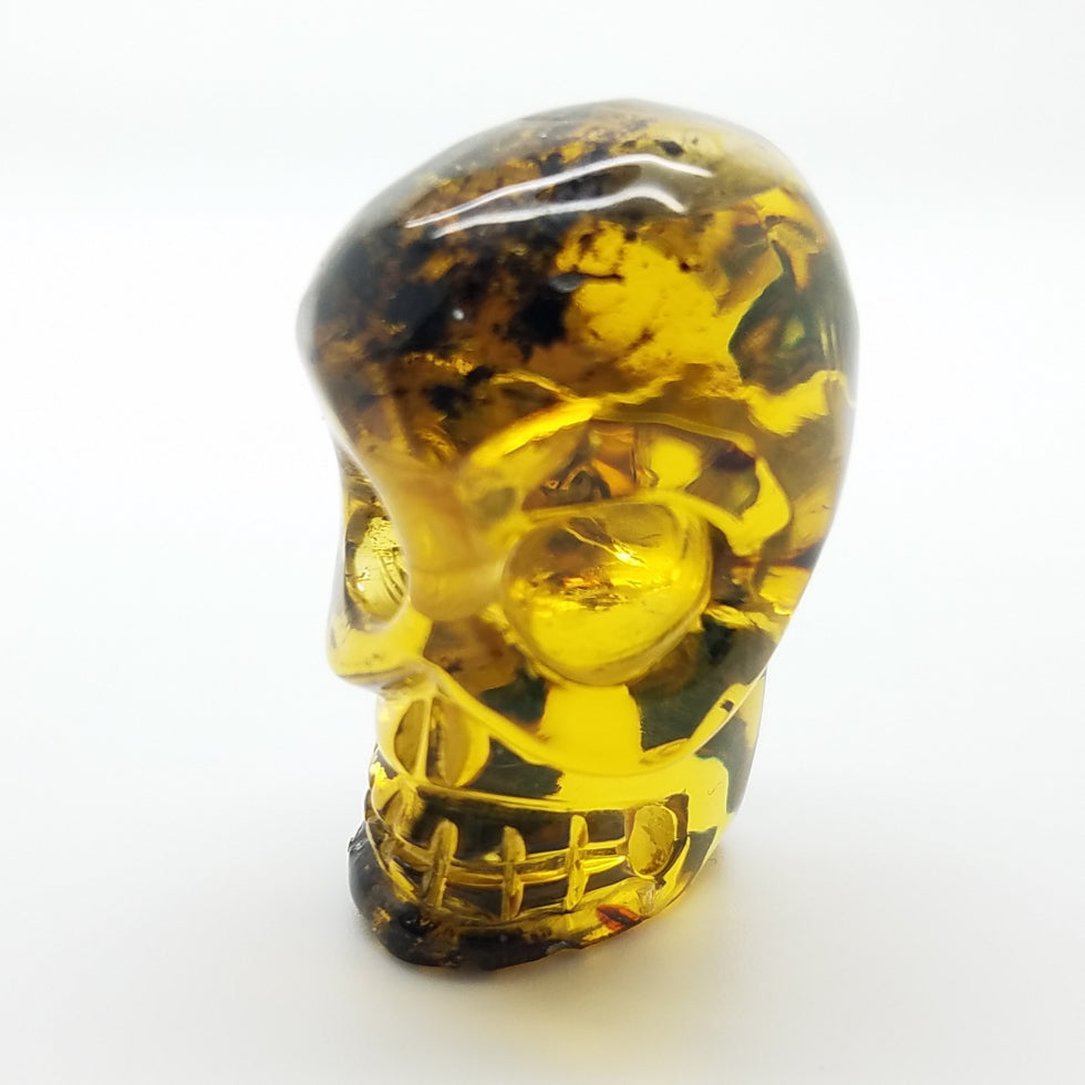 Large Skull Amber Carving - The Meteorite Traders