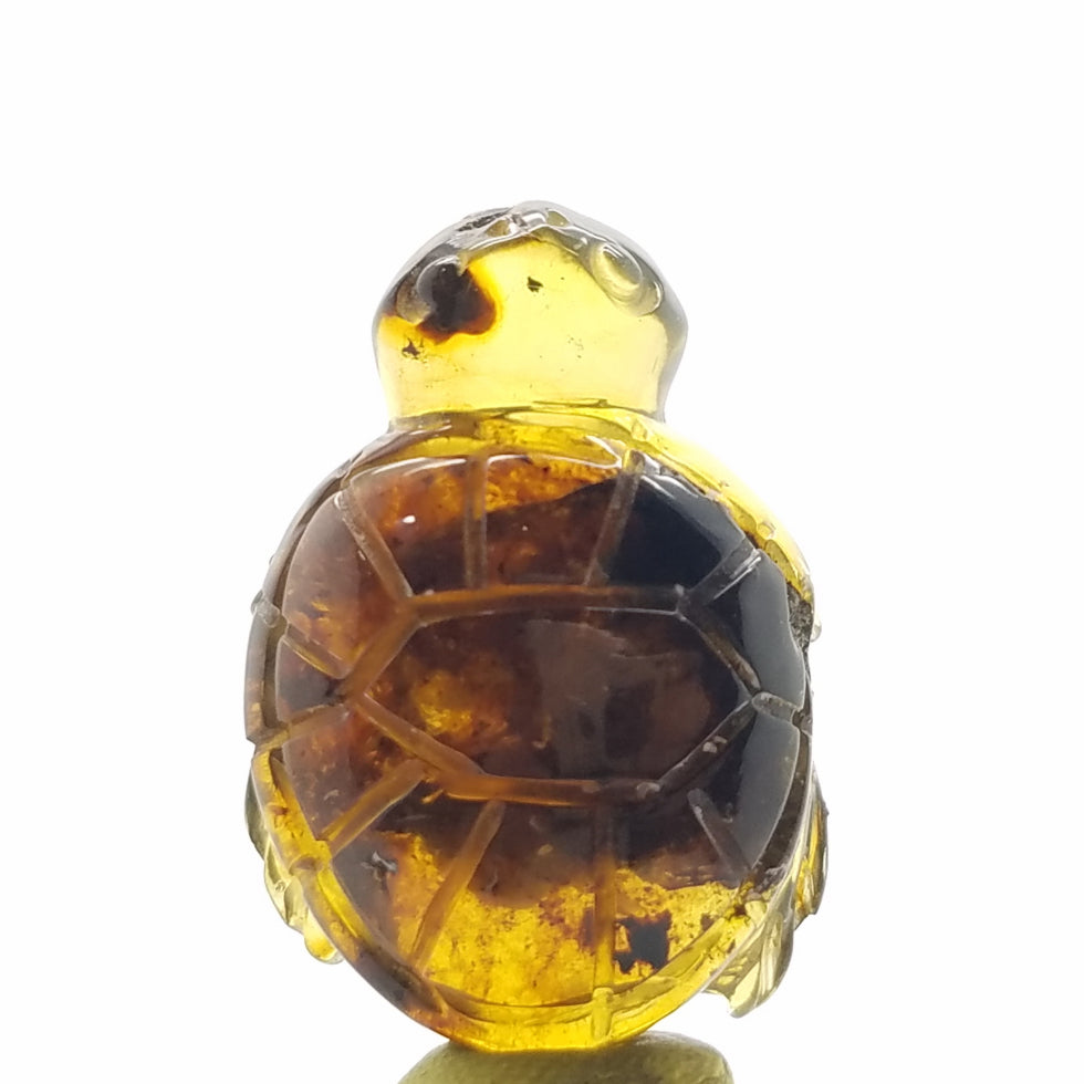 Carved Turtle in Amber - The Meteorite Traders