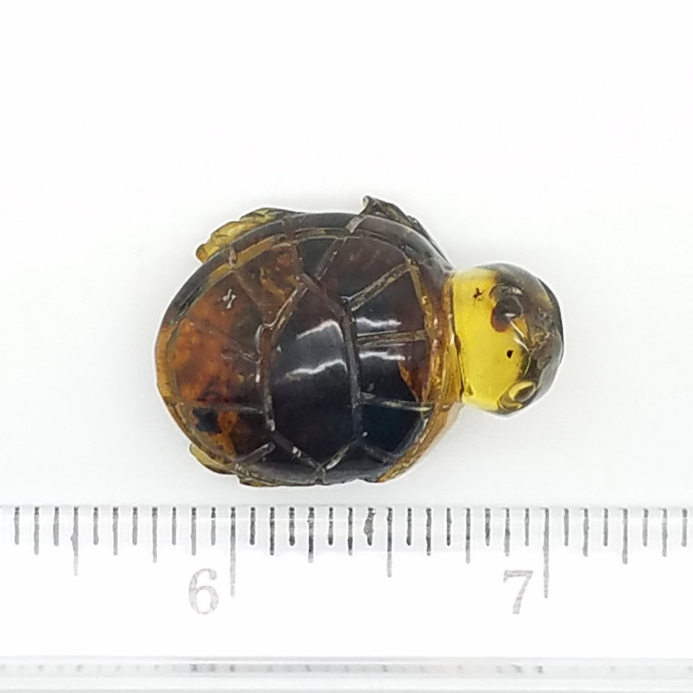 Carved Turtle in Amber - The Meteorite Traders