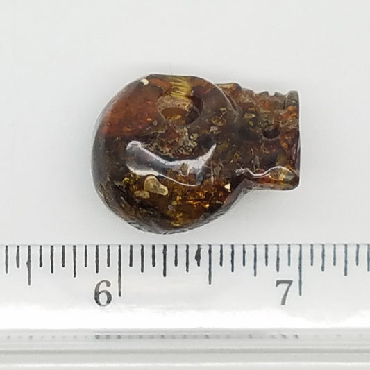 Carved Amber Skull - The Meteorite Traders