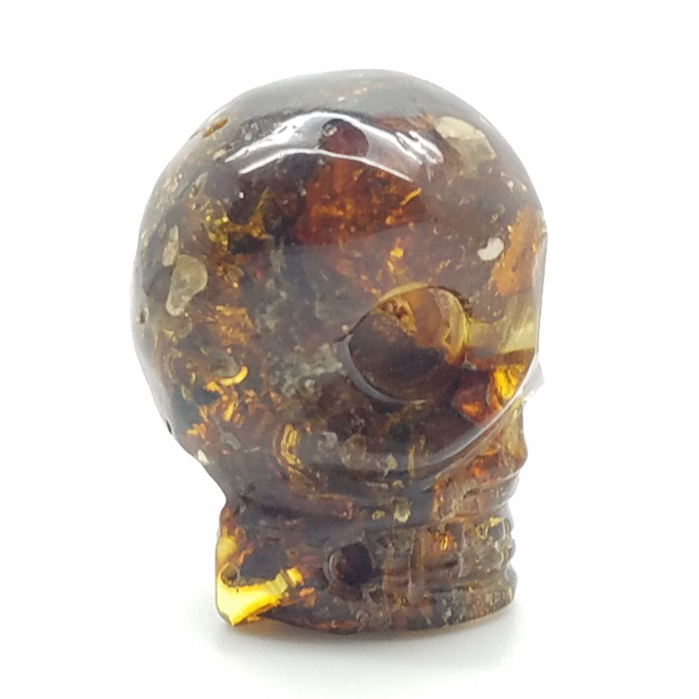 Carved Amber Skull - The Meteorite Traders