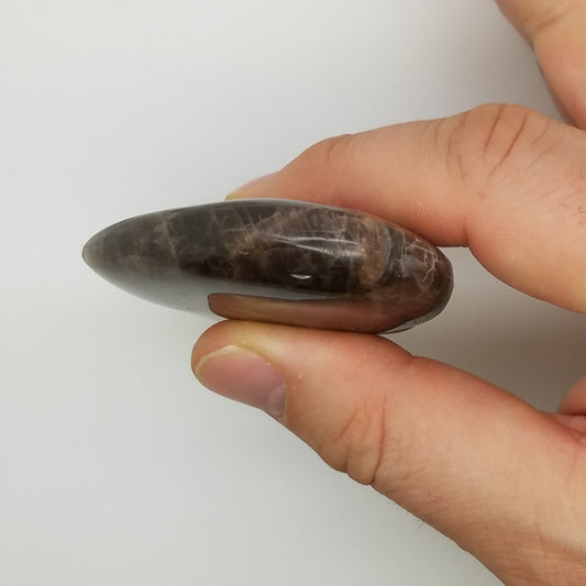 Black Moonstone Heart Shape - The Meteorite Traders