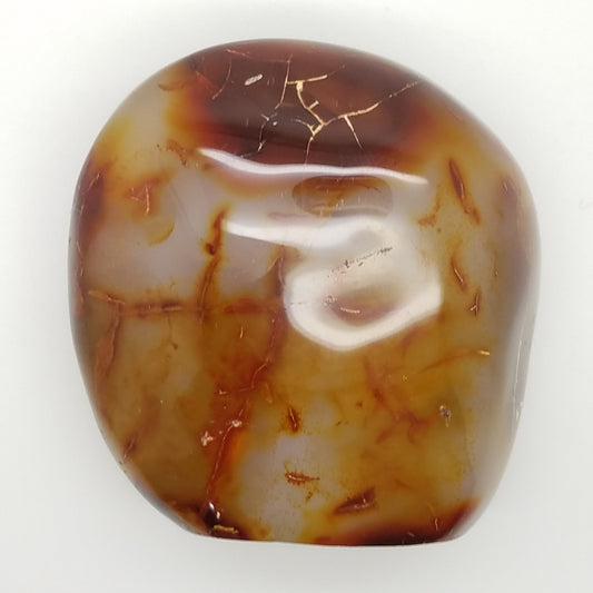 Carnelian Free Form Shape - The Meteorite Traders