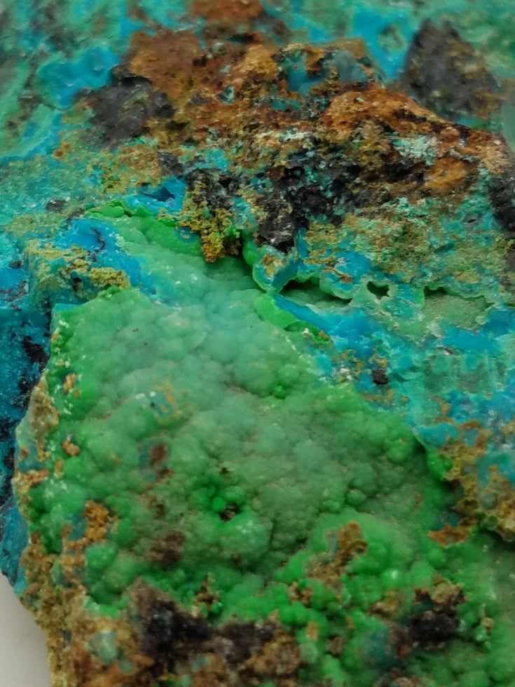 Chrysocolla Specimen closeup