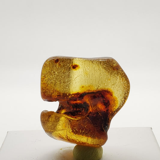 Baltic Amber Specimen