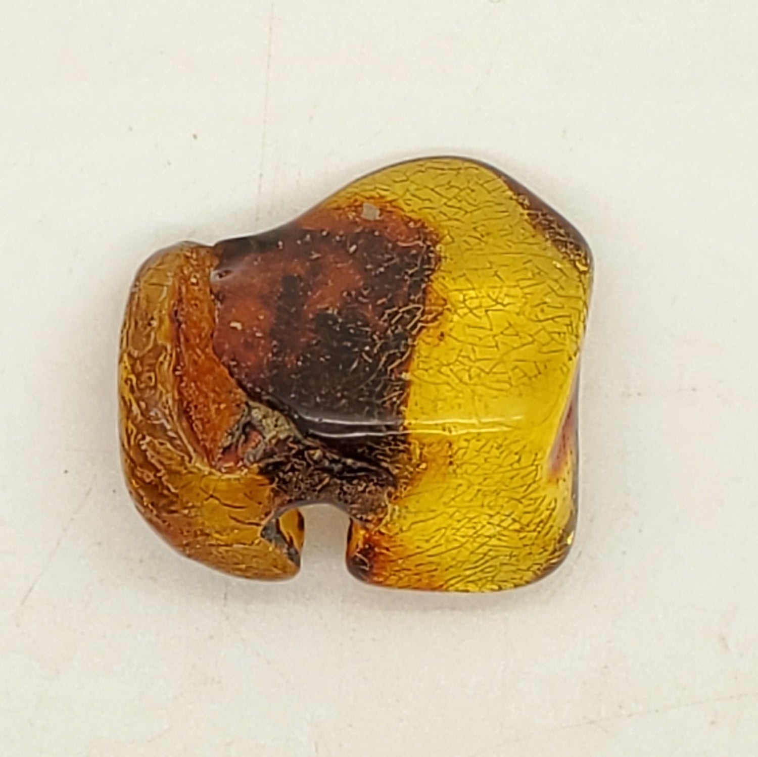 Baltic Amber Specimen