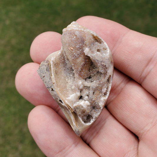 Spiralite Aura Fossil Pendant