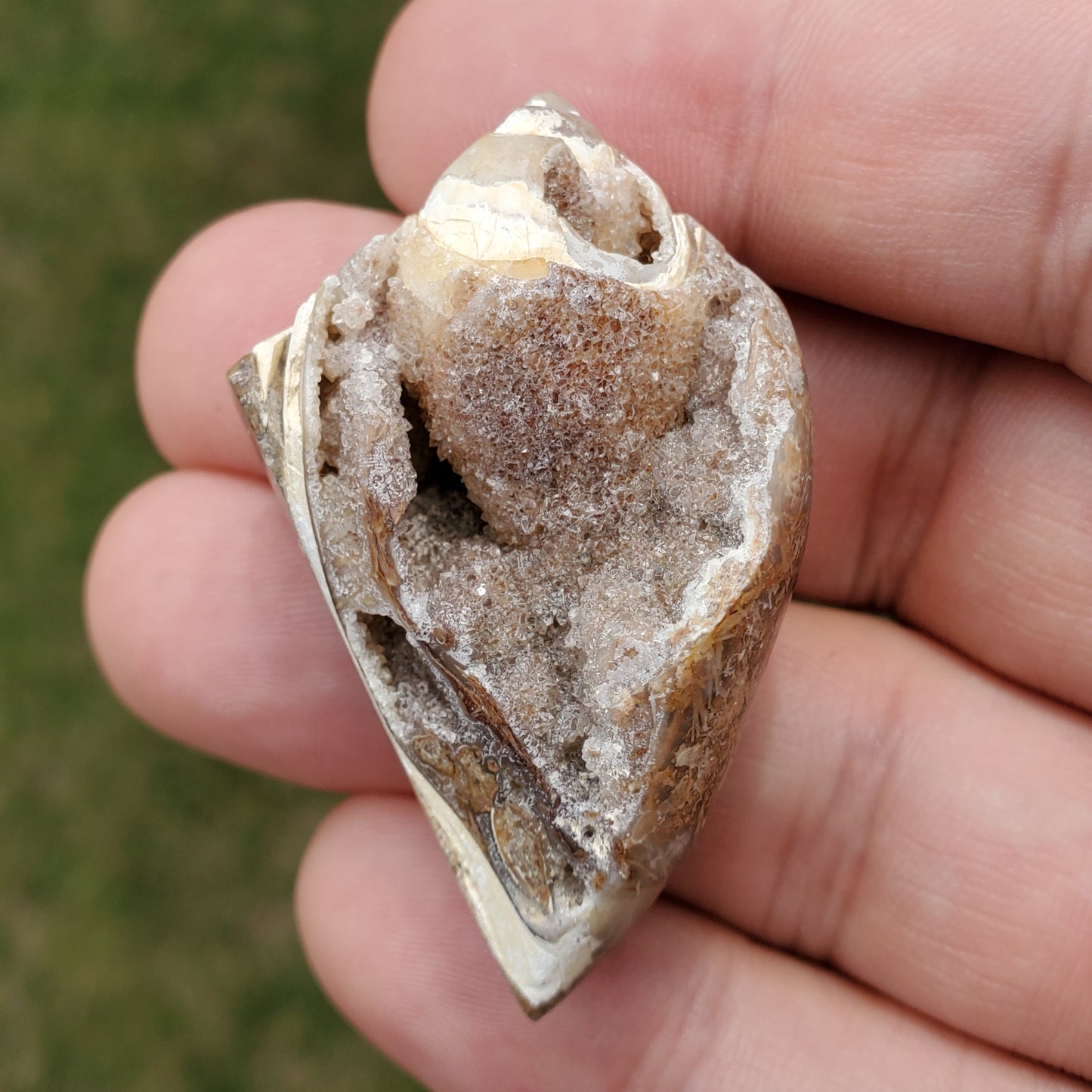 Spiralite Aura Fossil Pendant