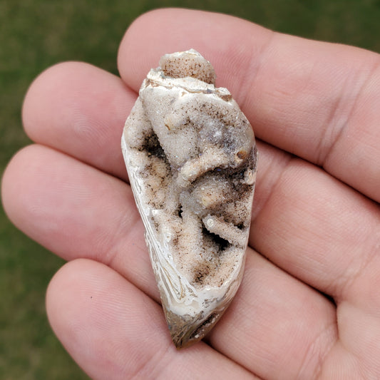 Spiralite Aura Fossil Pendant