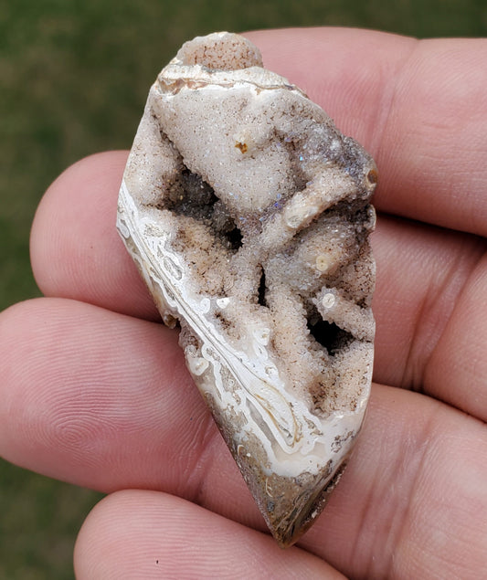 Spiralite Aura Fossil Pendant