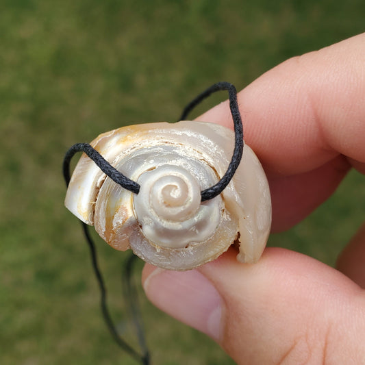 Spiralite Aura Fossil Pendant