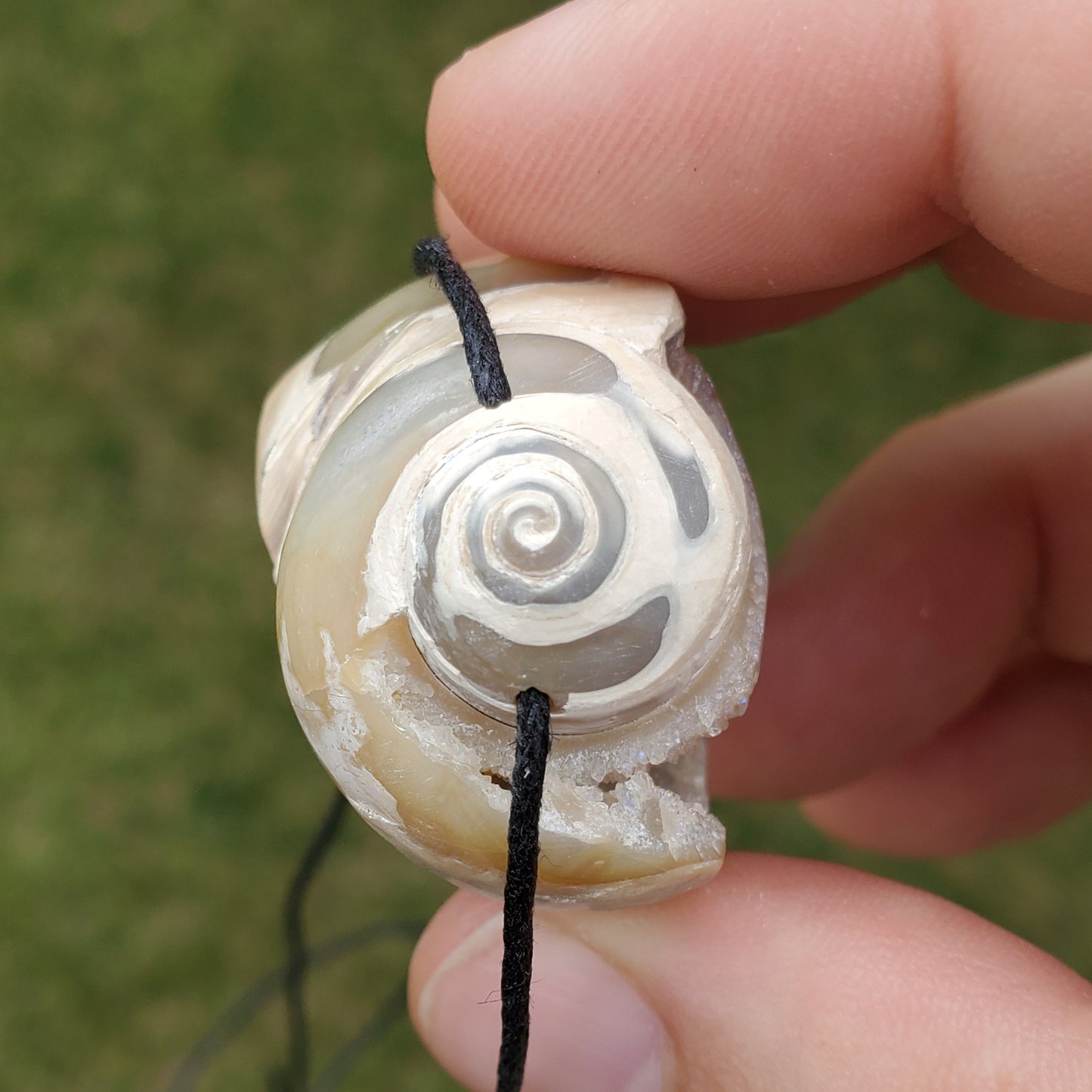 Spiralite Aura Fossil Pendant