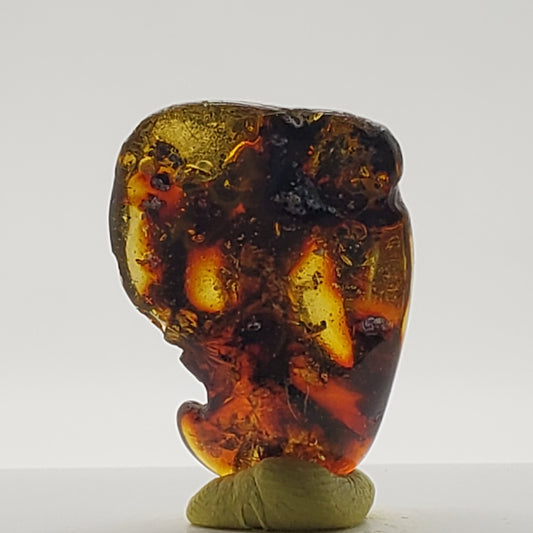 Baltic Amber Specimen