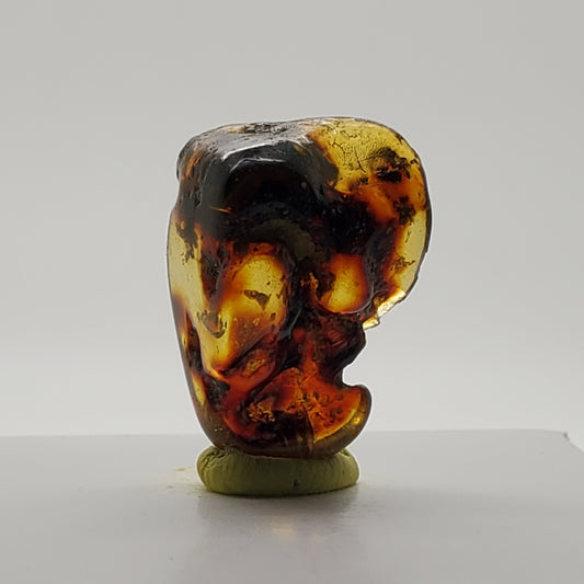Baltic Amber Specimen