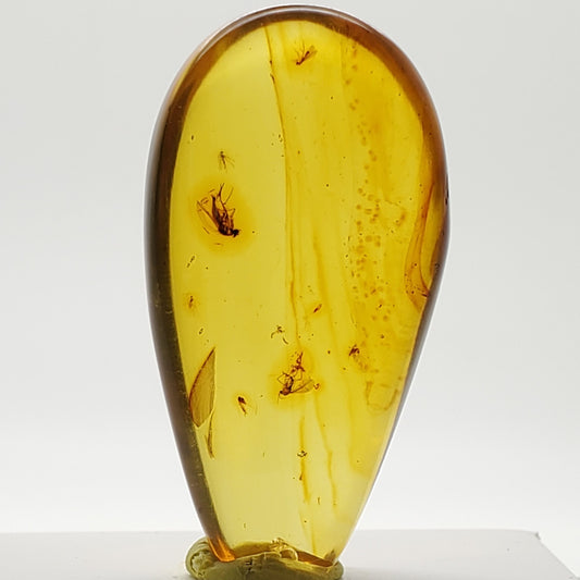 Colombian Amber Specimen with bugs included
