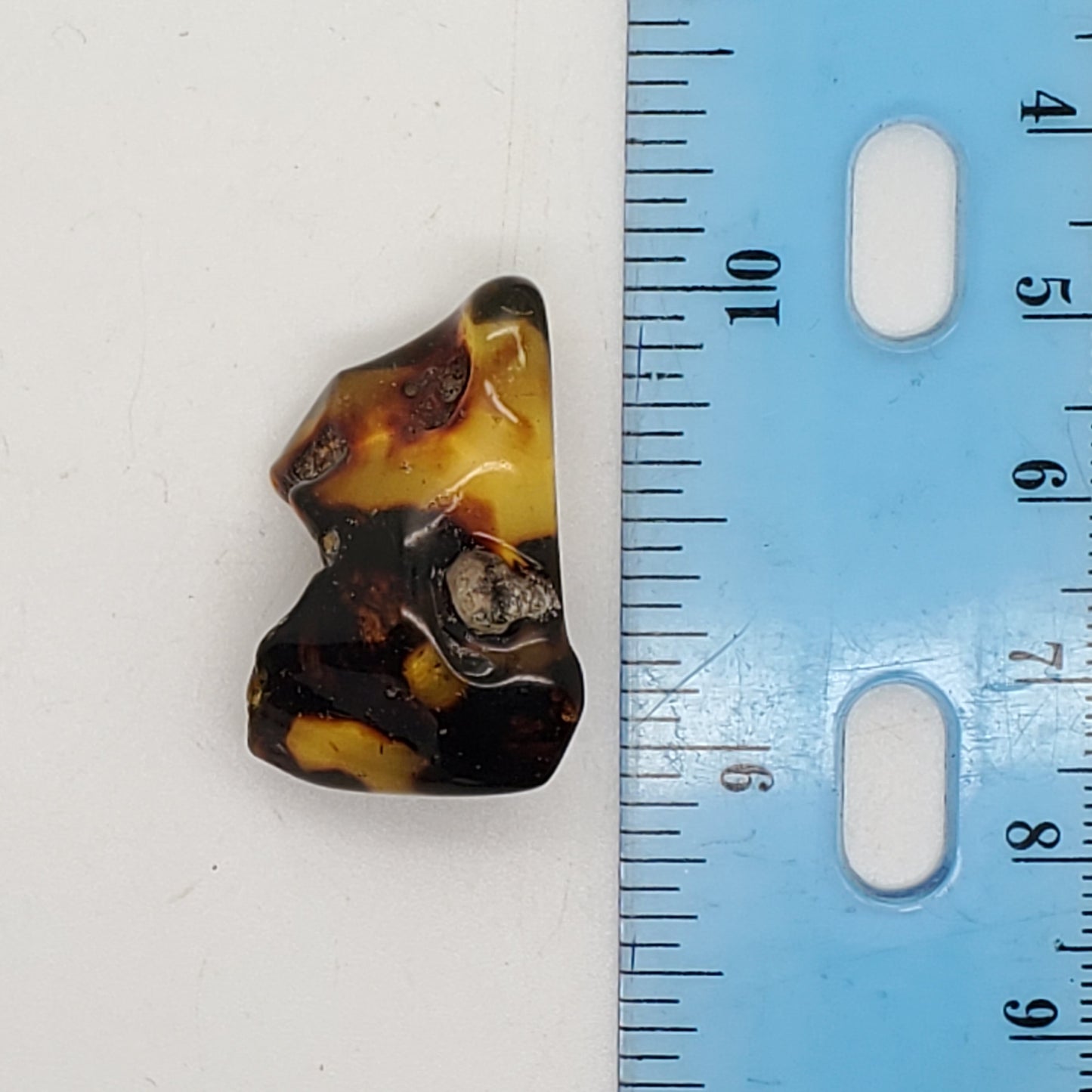 Baltic Amber Specimen