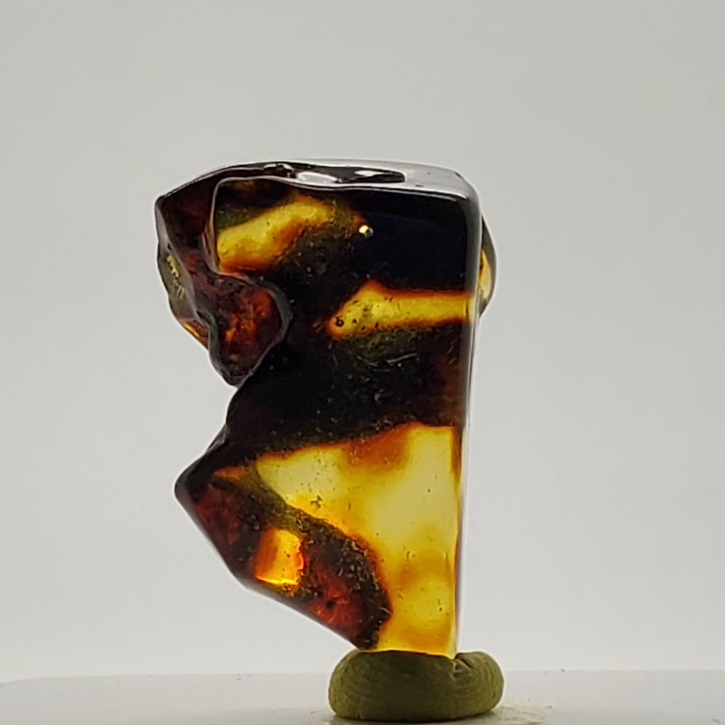 Baltic Amber Specimen