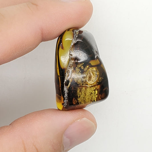 Baltic Amber Specimen