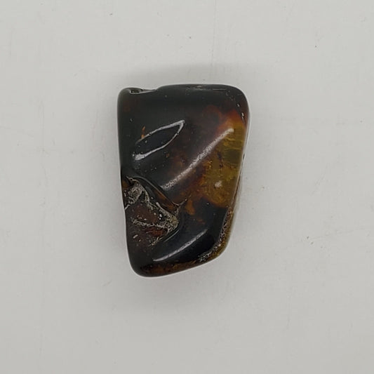 Baltic Amber Specimen