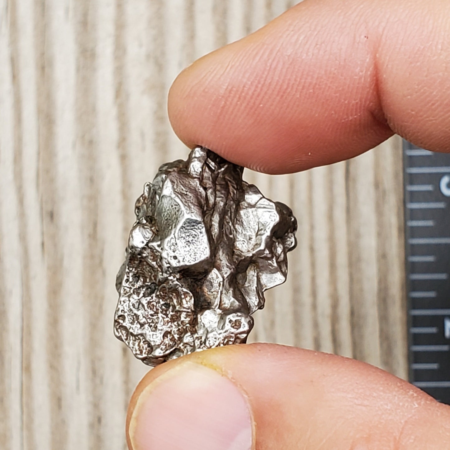 Meteorite Specimen | Campo Del Cielo | R2